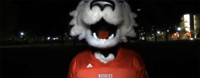 Northern Illinois University Athletics Celebrate United Sports USA   Huskies 